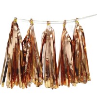 Shiny Rose golden color  Paper Tassels Fringe Banner, DIY Metallic Foil Hanging Garland for theme party decoration kits